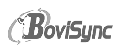 BoviSync Logo