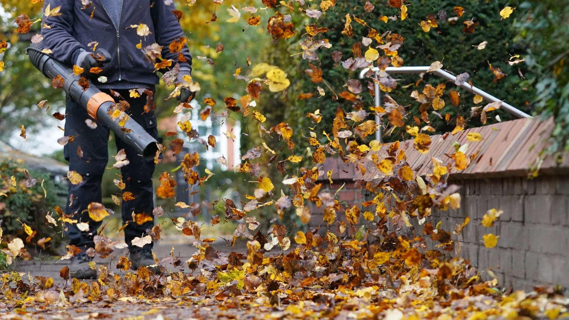 Launch Your Home Services Marketplace Faster: Go Live in Weeks, Not Months
