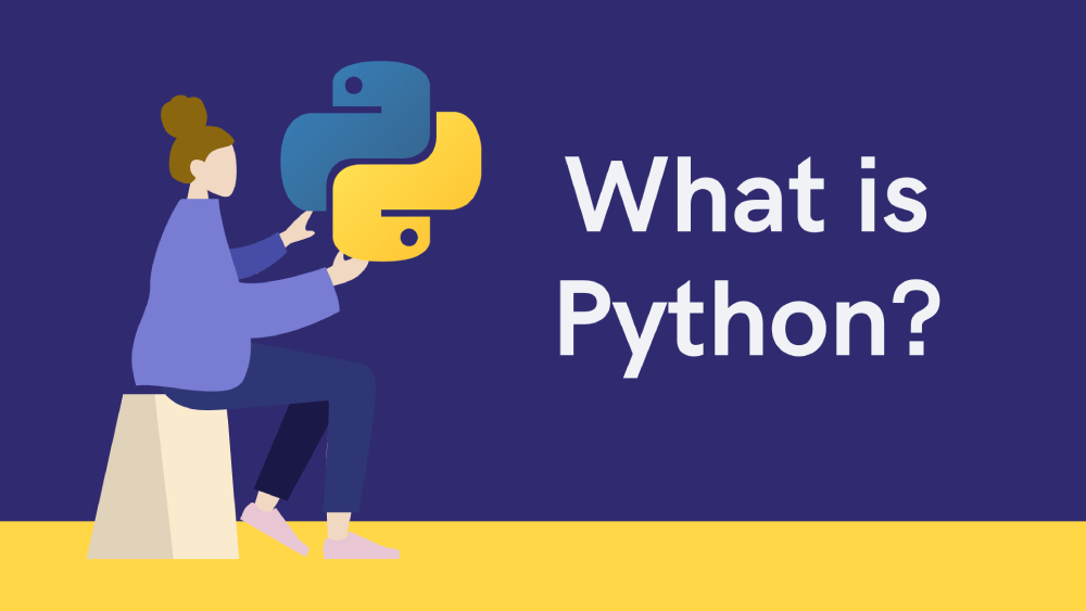 What is python