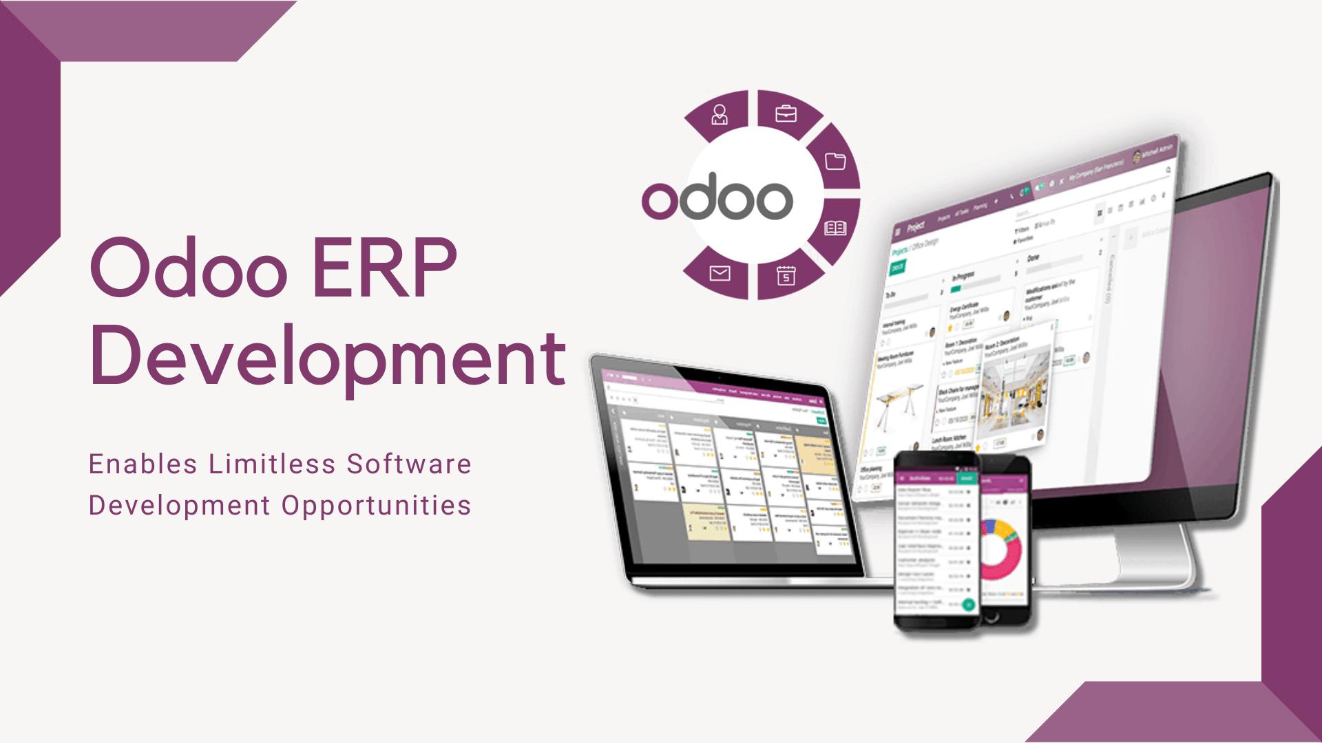 Odoo software development
