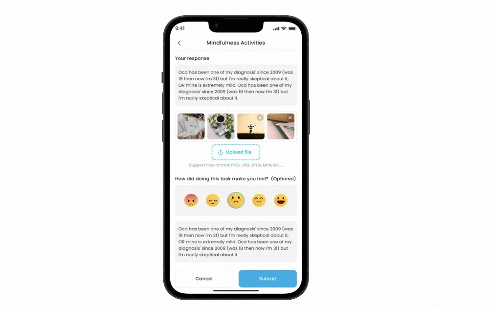 PowerGate Software’s mental health telehealth platform for an Australian partner